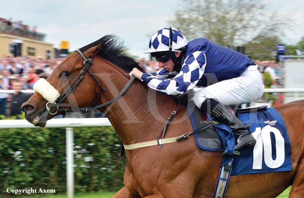 Diescentric winning at Doncaster - 1 June 2013